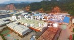 航拍大埔县高陂陶瓷产业园