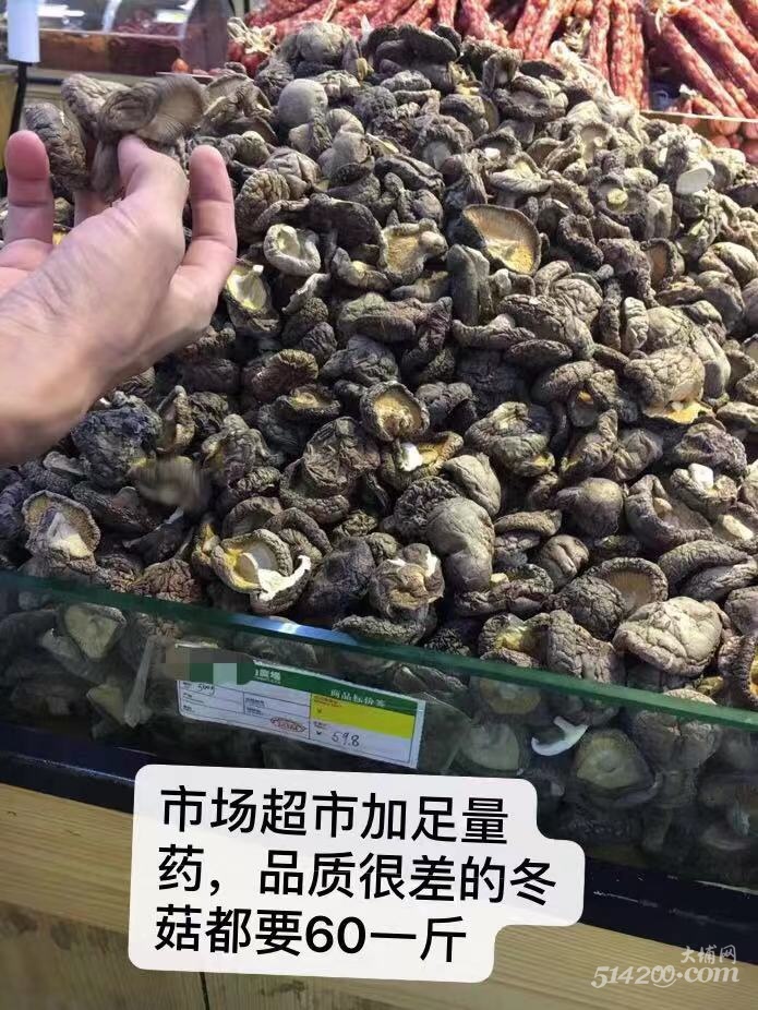 市场打足药香菇60-70一斤