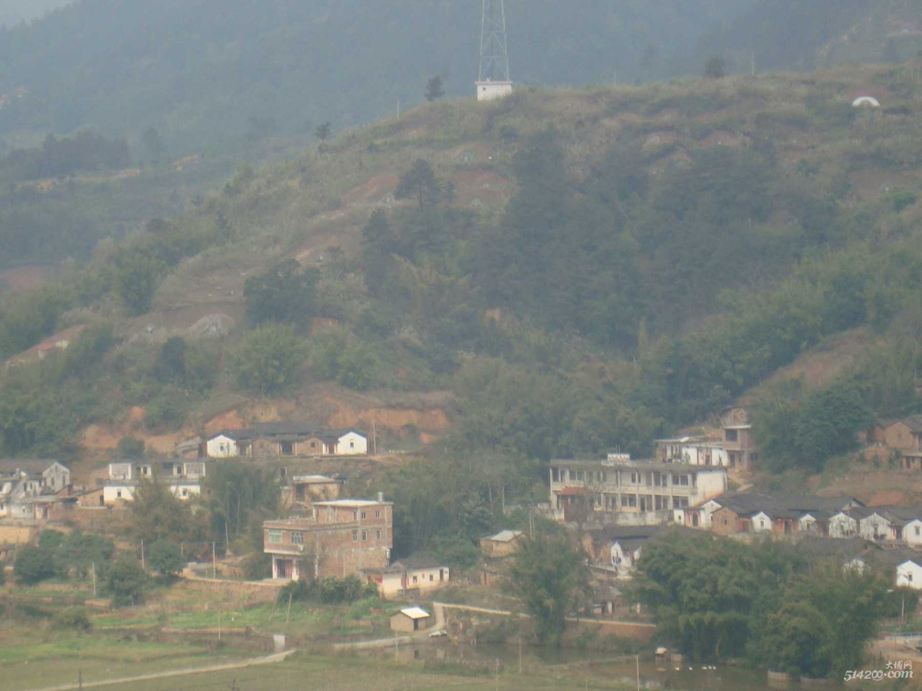 2010溪口村